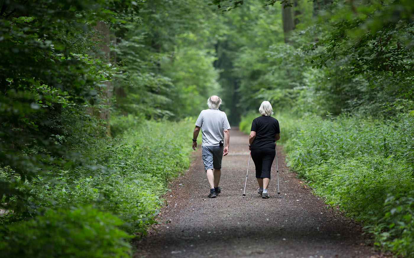 L'espérance de vie en bonne santé à 65 ans augmente à nouveau en 2023