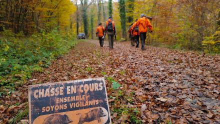 Les Lois Sur La Chasse : Chronologie | Vie-publique.fr